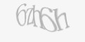 Защитный код